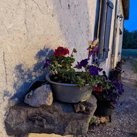 Propriete En Pleine Nature,grands Espaces,, Perigord Noir, Piscine Chauffee, Climatisation,wifi * Saint-Pardoux-et-Vielvic