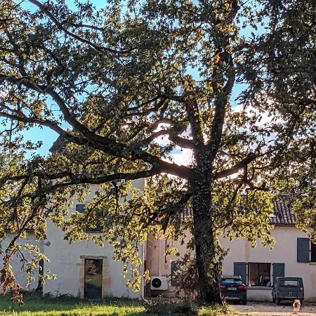 Propriete En Pleine Nature,grands Espaces,, Perigord Noir, Piscine Chauffee, Climatisation,wifi Villa Saint-Pardoux-et-Vielvic