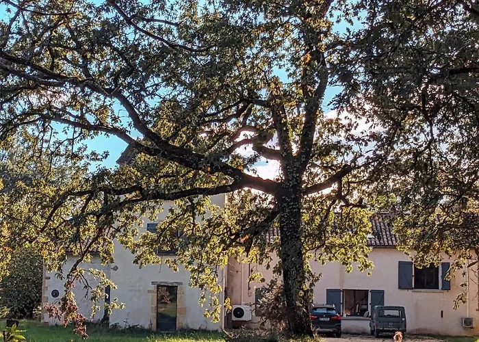 Propriete En Pleine Nature,grands Espaces,, Perigord Noir, Piscine Chauffee, Climatisation,wifi Villa Saint-Pardoux-et-Vielvic